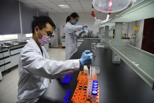 以技術為盾，護航人民健康 記開封市食藥檢驗所的疫情逆行者